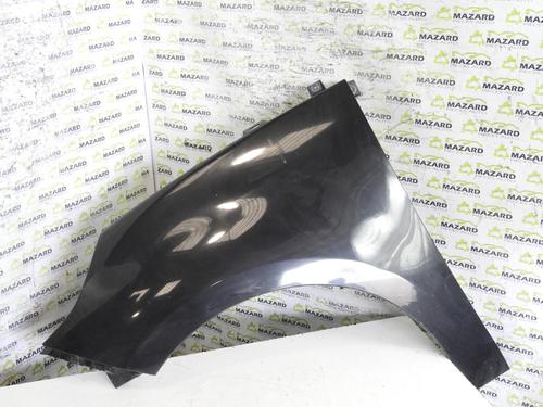 Used Left front fenders RENAULT SCÉNIC III (JZ0/1_) 1.9 dCi (JZ0J, JZ1J, JZ1K, JZ1S) (131 hp) 21970833