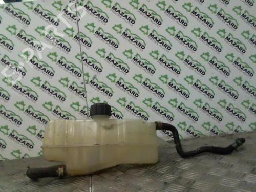 Used Expansion tank RENAULT CLIO III (BR0/1, CR0/1) 1.5 dCi (BR17, CR17) (86 hp) 20061619
