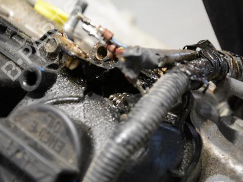 Engine SUZUKI IGNIS III (MF, FF) 1.2 Hybrid AllGrip (ATK412) | BP33172223M1 - Image 3
