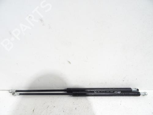 Gasdæmper bagklap FIAT PANDA (169_) 1.3 JTD Multijet 4x4 (169AXG1A, 169AXG2A) (75 hp) 31976572