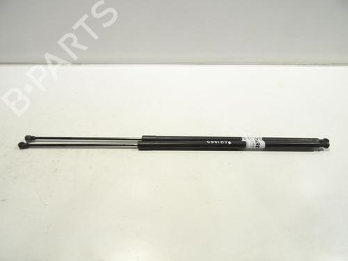 Used Tailgate lift support RENAULT KANGOO / GRAND KANGOO II (KW0/1_) 1.5 dCi 85 (KW0K, KW0L, KW0B) (86 hp) 21080313