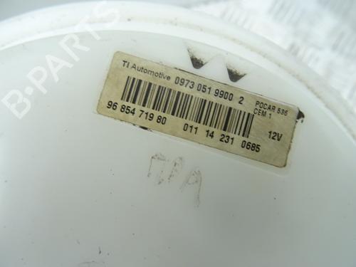 Fuel pump DS DS 3 (SA_) 1.2 THP 110 / PureTech 110 (SAHNPS, SAHNZ6, SAHNZT) | BP28195858M76 