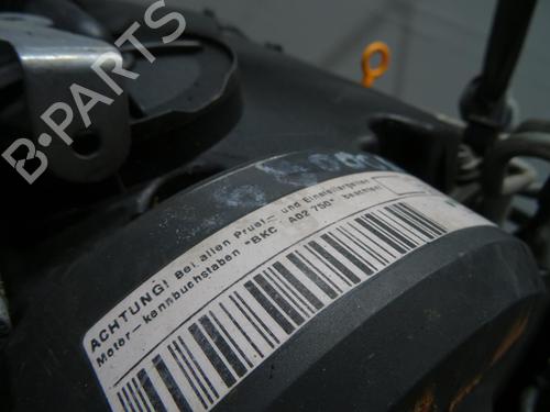 Engine VW GOLF PLUS V (5M1, 521) 1.9 TDI | BP29863412M1