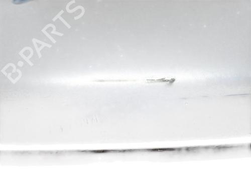 Used Tailgate Tailgate NISSAN QASHQAI I (J10, NJ10) 2.0 (141 hp) 36279339 36279339