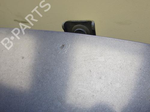 Tailgate RENAULT MEGANE III Hatchback (BZ0/1_, B3_) 1.5 dCi (BZ09, BZ0D, BZ1W, BZ29, BZ14) | BP26006245C6 