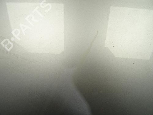 Tailgate RENAULT CLIO IV (BH_) 0.9 TCe 90 (BHNF, BHMA, BHMH, BHJK, BHJR) | BP29861364C6 