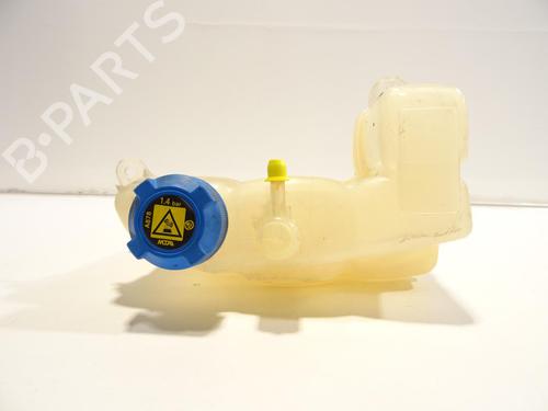 Expansion tank LANCIA MUSA (350_) 1.3 D Multijet (350.AXM11, 350.AXM1A, 350.AXI1A) | BP27485348C120 