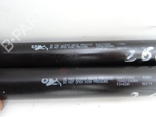 tailgate-lift-support-citroen-c3-ii-sc_-2009-32396523 main image