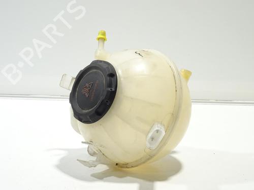 Used Expansion tank VW CADDY IV Box Body/MPV (SAA, SAH) 2.0 TDI (102 hp) 26529577