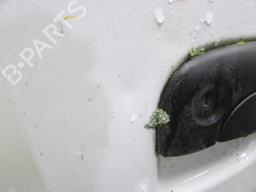Right front door RENAULT KANGOO Express (FC0/1_) 1.5 dCi (FC07, FC1R) | BP22518218C3 
