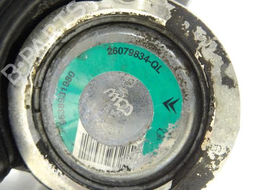 Steering pump PEUGEOT 206 Hatchback (2A/C) 1.9 D | BP21219293M99 