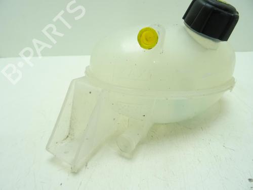 Expansion tank NISSAN NV400 Van (X62, X62B)  | BP29425037C120 