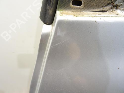 Left rear door RENAULT CLIO III (BR0/1, CR0/1) 1.5 dCi (BR17, CR17) | BP24646213C4 