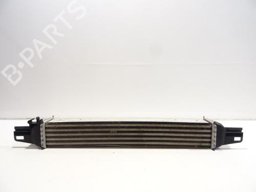 Intercooler CITROËN NEMO Box Body/MPV (AA_) 1.3 HDi 75 | BP28964381M30