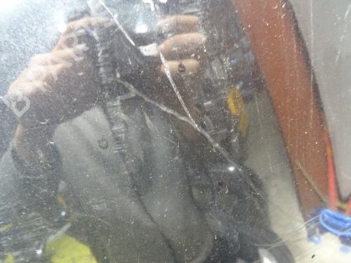 Front bumper DACIA SANDERO 1.5 dCi | BP29185068C7 - Image 2