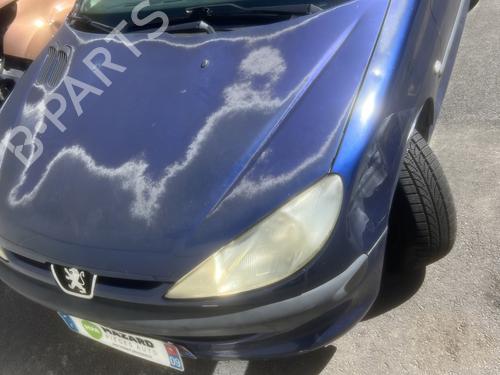 Tailgate handle PEUGEOT 206 Hatchback (2A/C) 1.9 D | BP31613287C132 