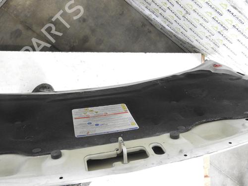 Used Hood FIAT PANDA (169_) 1.3 D Multijet 4x4 (169.AXC2A) (70 hp) 20042435