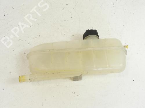 expansion-tank-renault-zoe-bfm_-zoe-217104337r-2012-20176930 main image