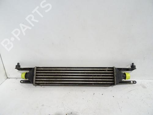 Intercooler ALFA ROMEO MITO (955_) 1.3 MultiJet (955AXP1A, 955AYC1A) (95 hp) 32104300