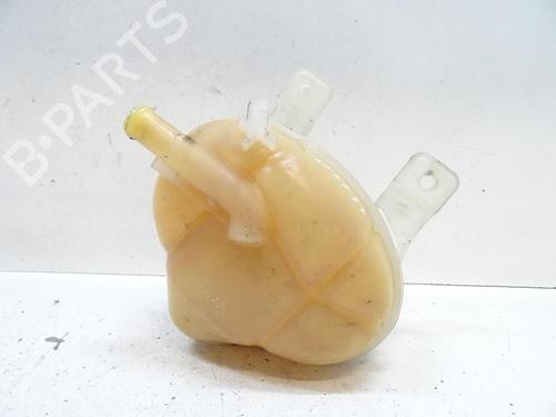 Expansion tank FIAT PUNTO EVO (199_) 1.3 D Multijet (199AXC1A, 199BXC1A, 199AXT1A, 199BXT1A) | BP20065387C120 