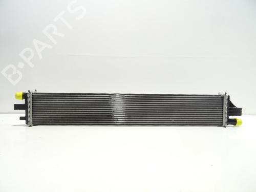 Used Water radiator Water radiator RENAULT MASTER III Van (FV) 2.3 dCi 110 FWD (FV0R, FV0W, FV1A) (110 hp) 21492484 21492484