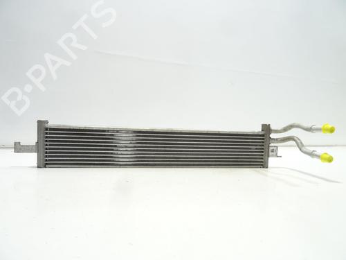 Oliekøler FORD ECOSPORT [2011-2022]  25141795