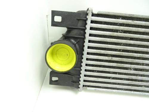 Intercooler RENAULT MASTER II Van (FD) 2.5 dCi (FD02) | BP29188425M30 