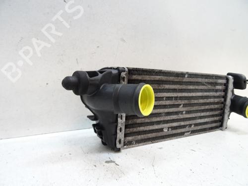 Intercooler MINI MINI (R50, R53) One D | BP20041068M30  - Image 5