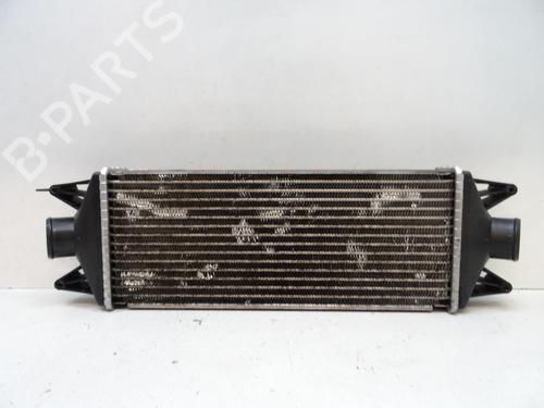Intercooler IVECO DAILY III Platform/Chassis 35 C 10 V , 35 S 10 V (AMJA14A1, AMJA64A1, AMJA65A1,... | BP21971753M30 