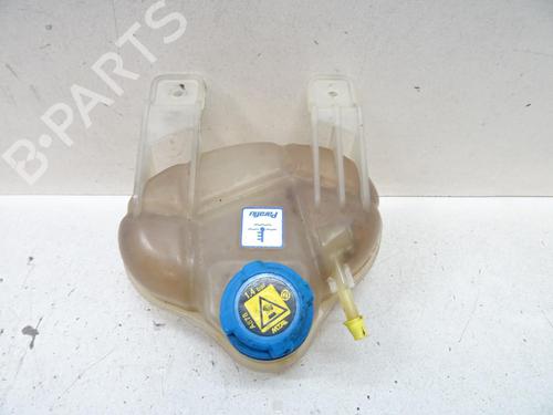 Used Expansion tank FIAT PUNTO EVO (199_) 1.3 D Multijet (199AXC1A, 199BXC1A, 199AXT1A, 199BXT1A) (75 hp) 20065387