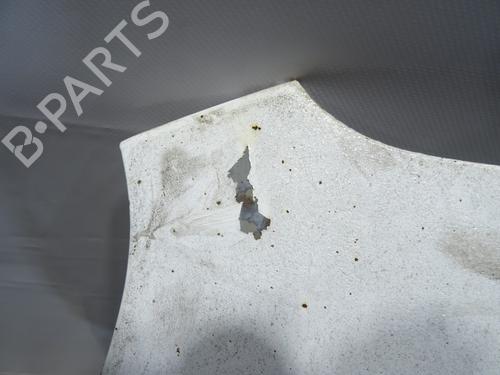 Used Hood Hood FIAT DOBLO Cargo (263_) 1.3 D Multijet (90 hp) 34166909 34166909