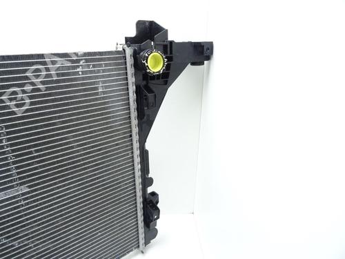 Water radiator NISSAN NV400 Van (X62, X62B)  | BP29405348M31 