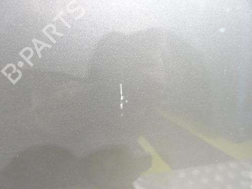 Right front door SKODA OCTAVIA II (1Z3)  | BP24111516C3 
