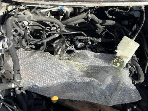 Other FORD TRANSIT CONNECT V408 Box Body/MPV  | BP36172604O1  - Image 22