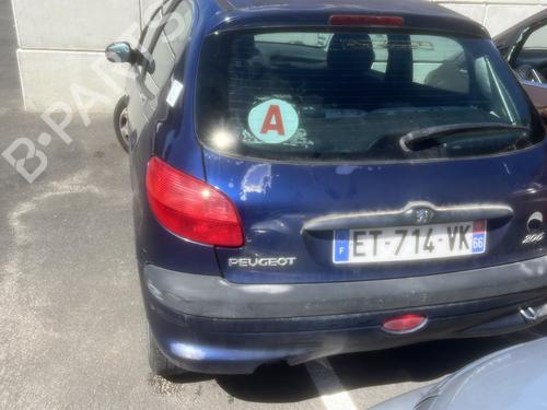 Tailgate handle PEUGEOT 206 Hatchback (2A/C) 1.9 D | BP31613287C132 