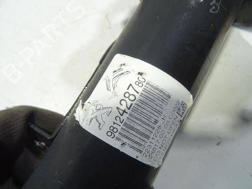Left front shock absorber CITROËN C3 III (SX) 1.6 BlueHDi 100 | BP24864952M16 - Image 4