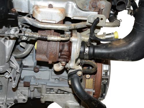 Engine FIAT PANDA (169_) 1.3 D Multijet (169.AXC1A) | BP38619210M1 - Image 3
