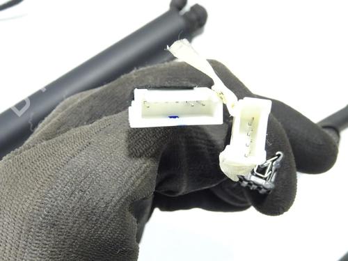 Tailgate lift support BMW X5 (F15, F85) xDrive 40 d | BP29422257C138 