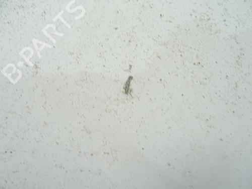 Left front fenders RENAULT MASTER II Van (FD) 2.5 dCi (FD02) | BP29353437C41 