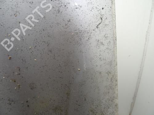 Used Hood Hood MERCEDES-BENZ C-CLASS Coupe (CL203) C 220 CDI (203.708) (150 hp) 29590700 29590700