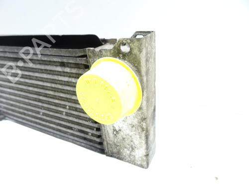 Used Intercooler Intercooler MERCEDES-BENZ VITO Bus (W639) 111 CDI (639.701, 639.703, 639.705) (116 hp) 33015176 33015176