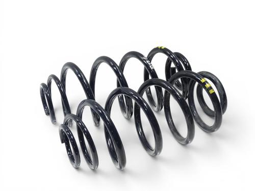 Used Shock absorber spring Shock absorber spring VW MULTIVAN T7 (STM, STN) 1.4 eHybrid (218 hp) 34359443 34359443