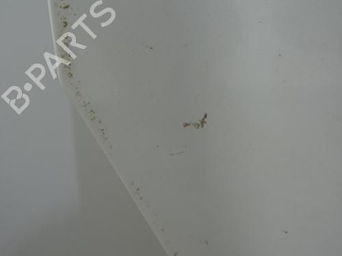 Motorhjelm NISSAN NOTE (E12) 1.5 dCi | BP23787952C1 - Image 8