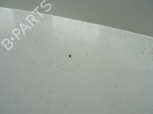 Hood PEUGEOT EXPERT Van (VF3A_, VF3U_, VF3X_) 2.0 HDi 130 | BP28497147C1