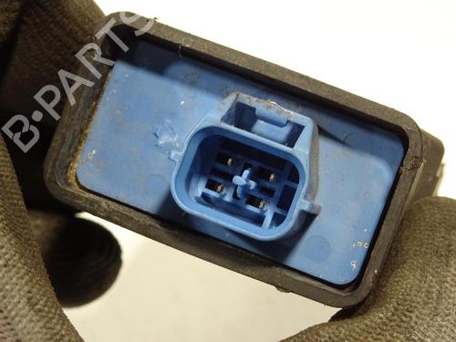 Electronic module LAND ROVER DEFENDER Station Wagon (L316) 2.5 Td5 4x4 (L316) | BP24338848M83 