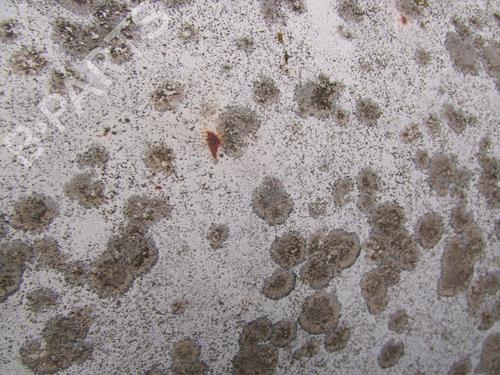 Used Hood Hood RENAULT 6 (118_) [1969-1987] 33429492 33429492