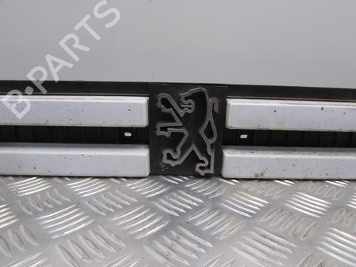 Grille PEUGEOT BOXER Van (230L) 1.9 D | BP20038755C40 