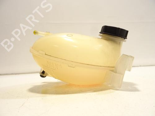 Expansion tank FORD FIESTA VII (HJ, HF) 1.0 EcoBoost | BP29756903C120