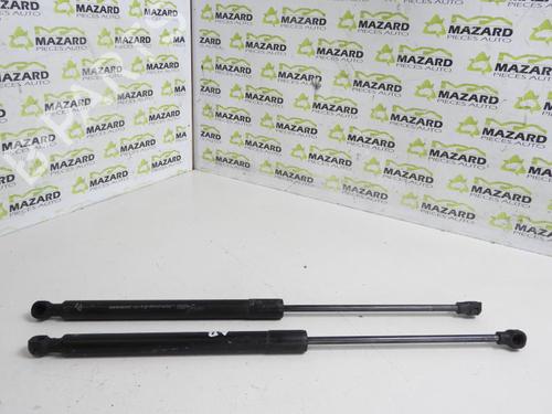 Tailgate lift support DACIA SANDERO II TCe 90 (B8M1, B8MA, B8AC) | BP20069897C138 