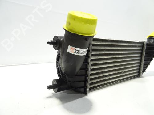 Intercooler FIAT ULYSSE (179_) 2.0 D Multijet | BP20334308M30 